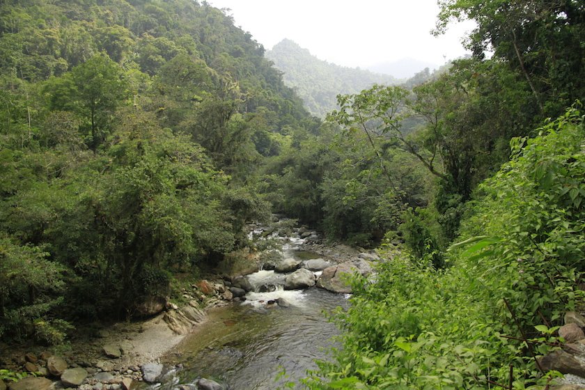 Imagen del río Buritaca en la galería